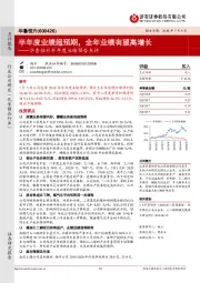 半年度业绩预告点评:半年度业绩超预期,全年业绩有望高增长