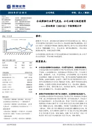 中报预增点评：合成樟脑行业景气度高，公司业绩大幅度增厚