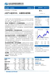 主营产品量价齐升，业绩增长超预