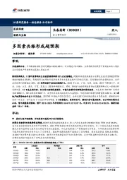 多因素共振形成超预期