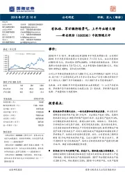 中报预增点评：有机硅、草甘膦持续景气，上半年业绩大增