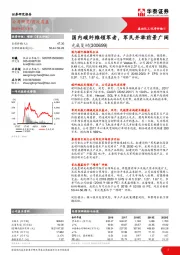 国内碳纤维领军者,军民并举前景广阔