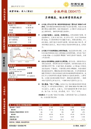 另辟蹊径，钴业新贵悄然起步