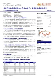 中报业绩预告点评:业绩预告归母净利润与去年基本持平,电解液业绩拐点将至