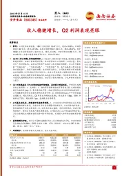收入稳健增长，Q2利润表现亮眼