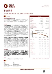 合资承压拖累业绩下滑 静待产品销售调整