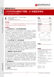 蓝思科技点评报告：上半年扣非业绩低于预期，Q3有望迎来转机