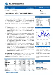 中报业绩超预期，下半年产能释放业绩持续高增速