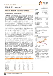 公司深度研究：战略为骨，管理为翼，内生外延打造大家居