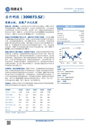 深耕正极，高镍产业化先驱