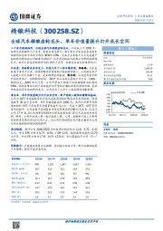 全球汽车精锻齿轮龙头，单车价值量提升打开成长空间