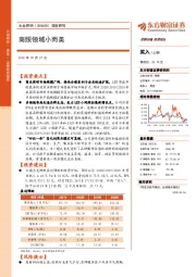 深度研究：商照领域小而美