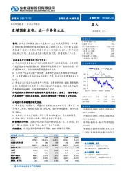 公司点评报告：定增预案发布，进一步夯实主业