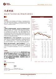 维生素产品价格大幅下降拖累业绩增长