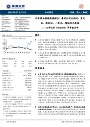 半年报点评:半年报业绩继续高增长,看好公司全球化、多元化、园区化、一体化、精细化大发展