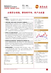 2018年半年报点评:业绩符合预期,静待新市场、新产品放量