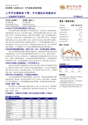 半年报点评:上半年业绩略有下滑,中长期成长动能依旧