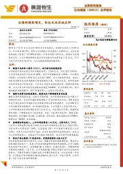 点评报告:业绩持续高增长,软包电池突破在即