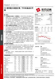 Q2获利能力恢复正常，下半年高成长可期