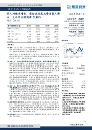 收入持续高增长，受行业政策及费用投入影响，上半年业绩同增20.18%