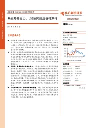 2018年中报点评：双战略齐发力，LSG协同效应值得期待