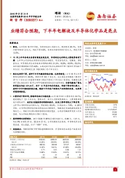 业绩符合预期，下半年电解液及半导体化学品是亮点