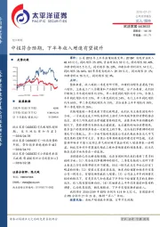 中报符合预期，下半年收入增速有望提升