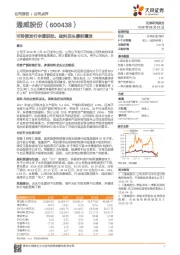 可转债发行申请获批,硅料龙头厚积薄发