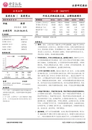 外延式并购成效凸显,业绩快速增长