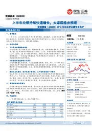 2018年半年度业绩快报点评:上半年业绩持续快速增长,大家居稳步推进