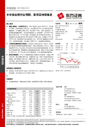 半年报业绩符合预期，新项目持续推进