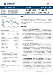 2018年半年报点评：中报业绩符合预期，下半年增长可期