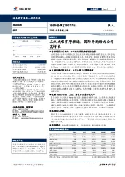 2018年半年报点评：三大战略有序推进，国际并购助力公司高增长