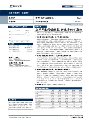 2018年半年报点评：上半年盈利创新高，新业务仍可期待