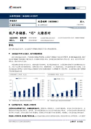 重大事件快评：国产存储器，“芯”火燎原时