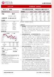 中报业绩符合预期，半钢胎龙头稳步成长中