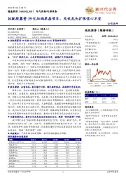 拟配股募资39亿加码单晶项目，光伏龙头扩张信心不变