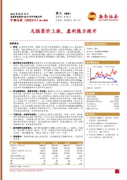 无惧浆价上涨,盈利能力提升