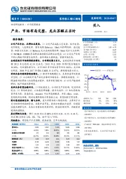 公司深度报告：产业、市场布局完整，龙头苏醒正当时