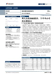 2018年半年报点评：两大品类相继提价，下半年公司迎业绩拐点