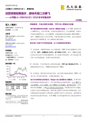 2018年半年报点评:经营调整短期蛰伏,静待天鹅二次腾飞