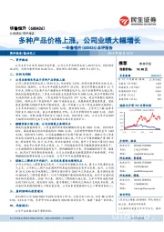 点评报告:多种产品价格上涨,公司业绩大幅增长