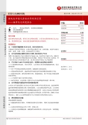 湘潭电化深度报告：锂电池中锰元素的世界级供应商