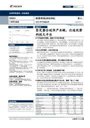 2018年半年报点评：坚定整合延伸产业链，打造优势科技大平台