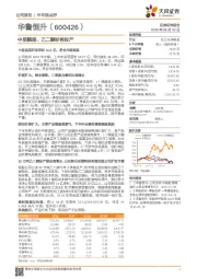 中报靓丽,乙二醇即将投产