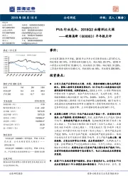 半年报点评：PVA行业龙头，2018Q2业绩环比大涨