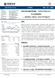 2018年半年报点评：整合布局功能材料领域，千洪电子并表公司上半年业绩高增长