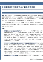 业绩稳健增长下即将开启产量集中释放期