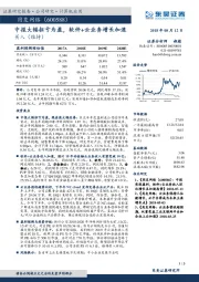 中报大幅扭亏为盈，软件+云业务增长加速