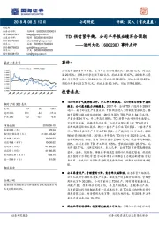 事件点评:TDI供需紧平衡,公司半年报业绩符合预期
